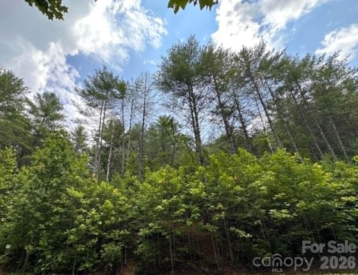 TBD Rock Cliff Drive - Photo 1