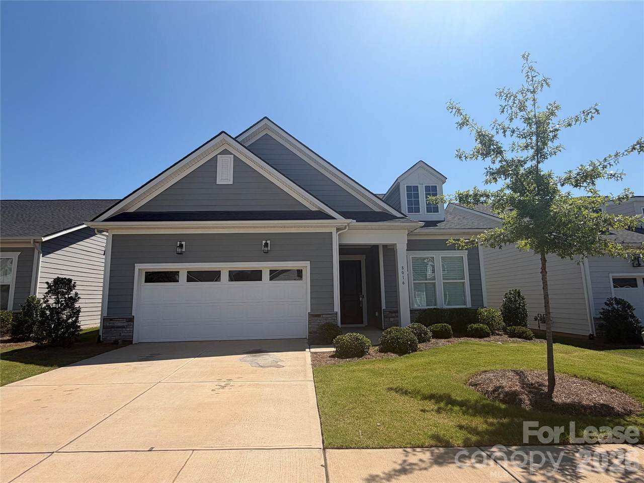 8016 Brookbank Drive - Photo 1