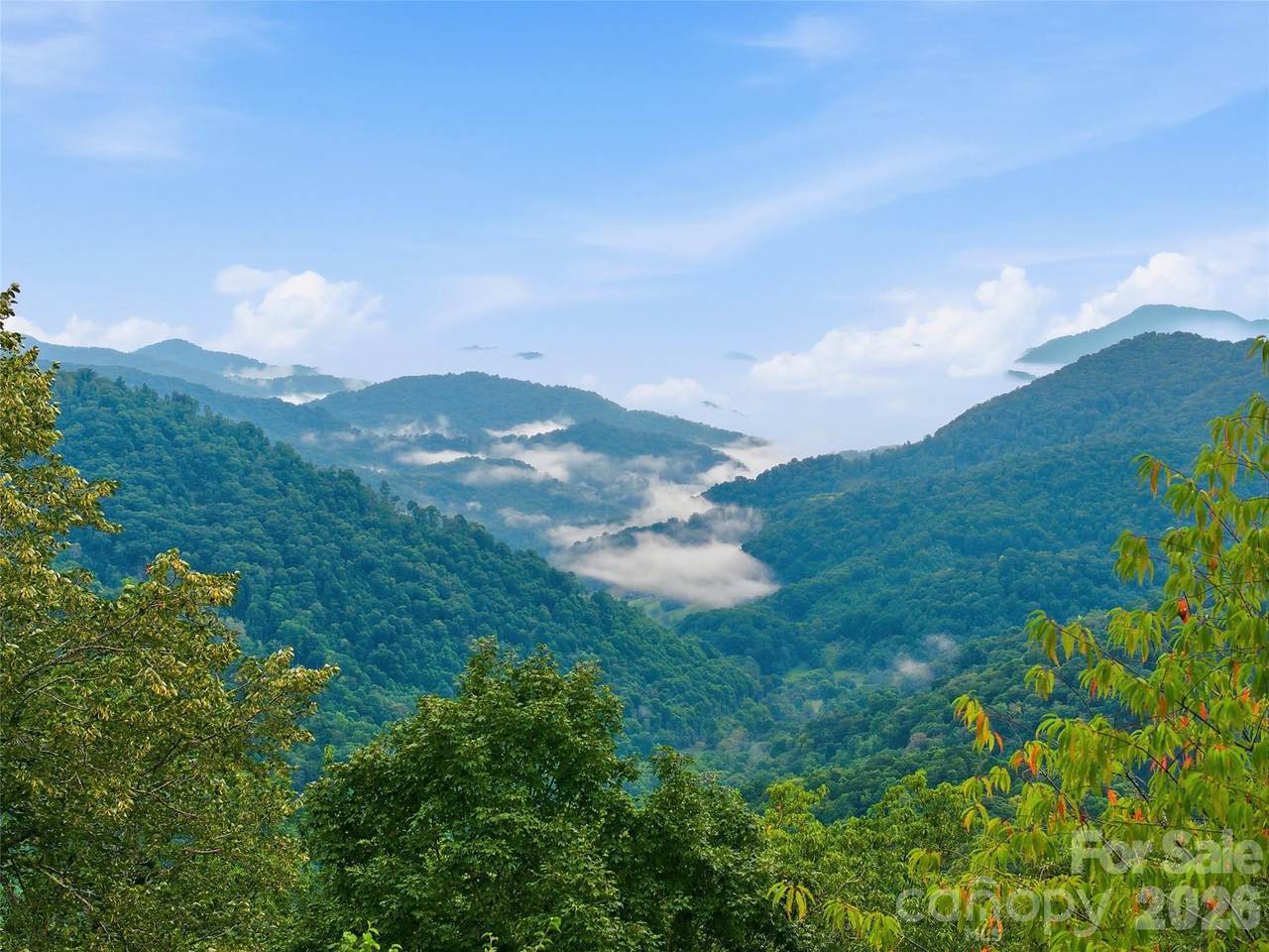 Lot 50 Running Cedar Drive - Photo 1