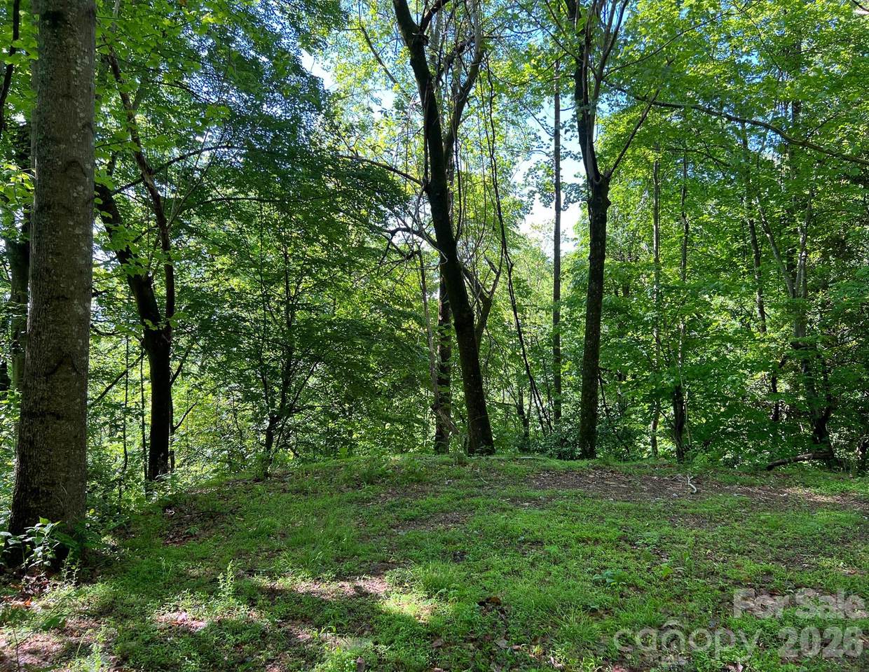 TBD Valley Drive - Photo 1