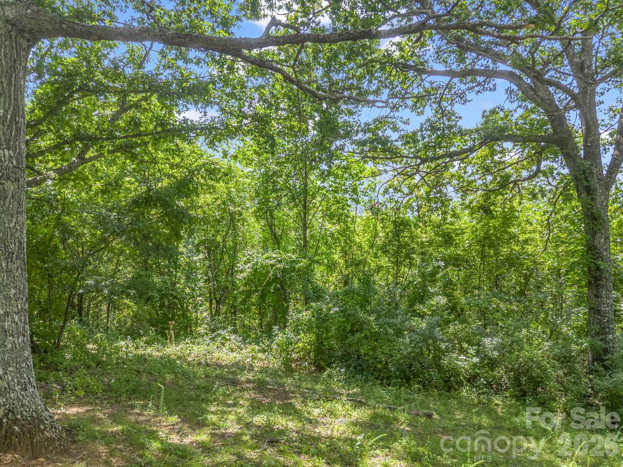61 Sugar Maple Drive - Photo 1