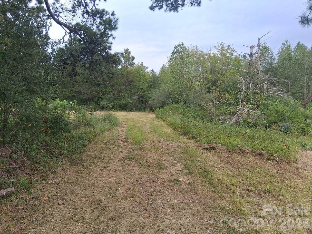 https://bt-photos.global.ssl.fastly.net/cmls/1280_boomver_2_4414612-1.jpg