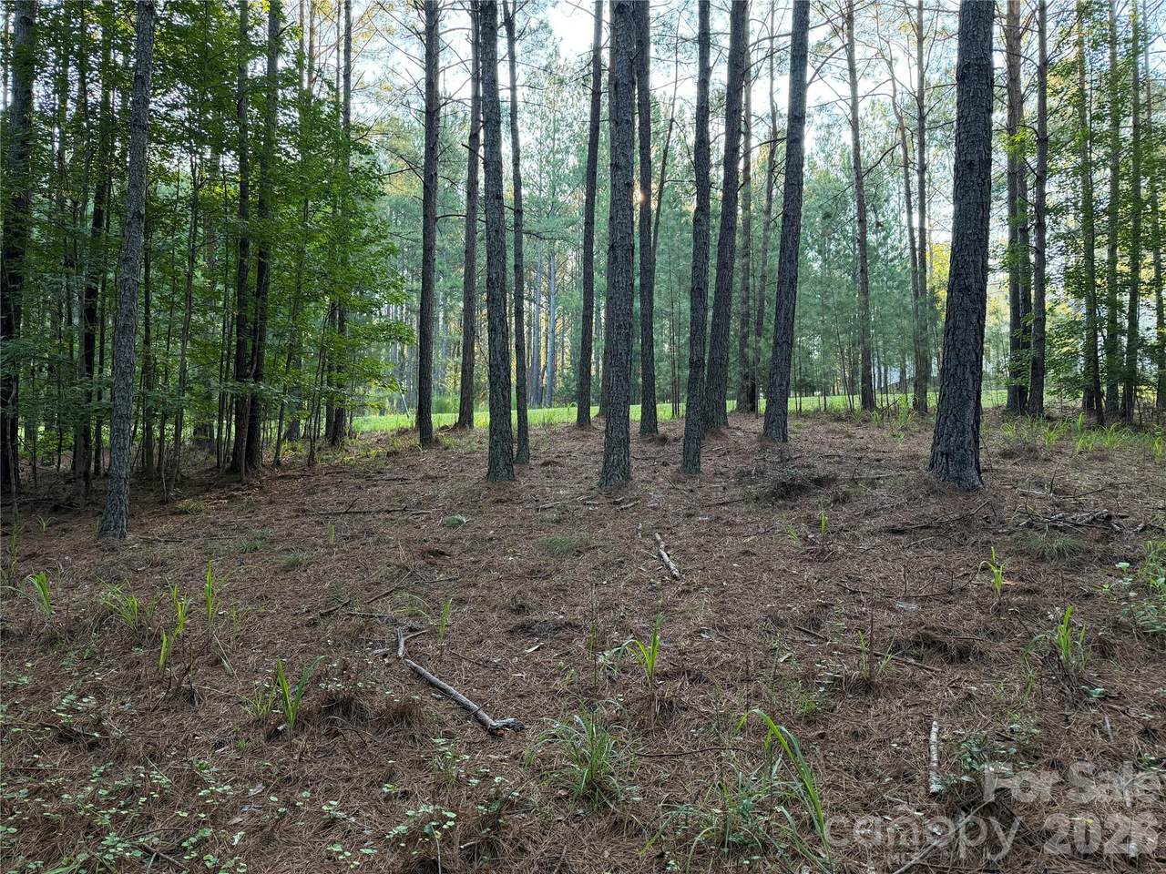 108 Whispering Pines Lane - Photo 1
