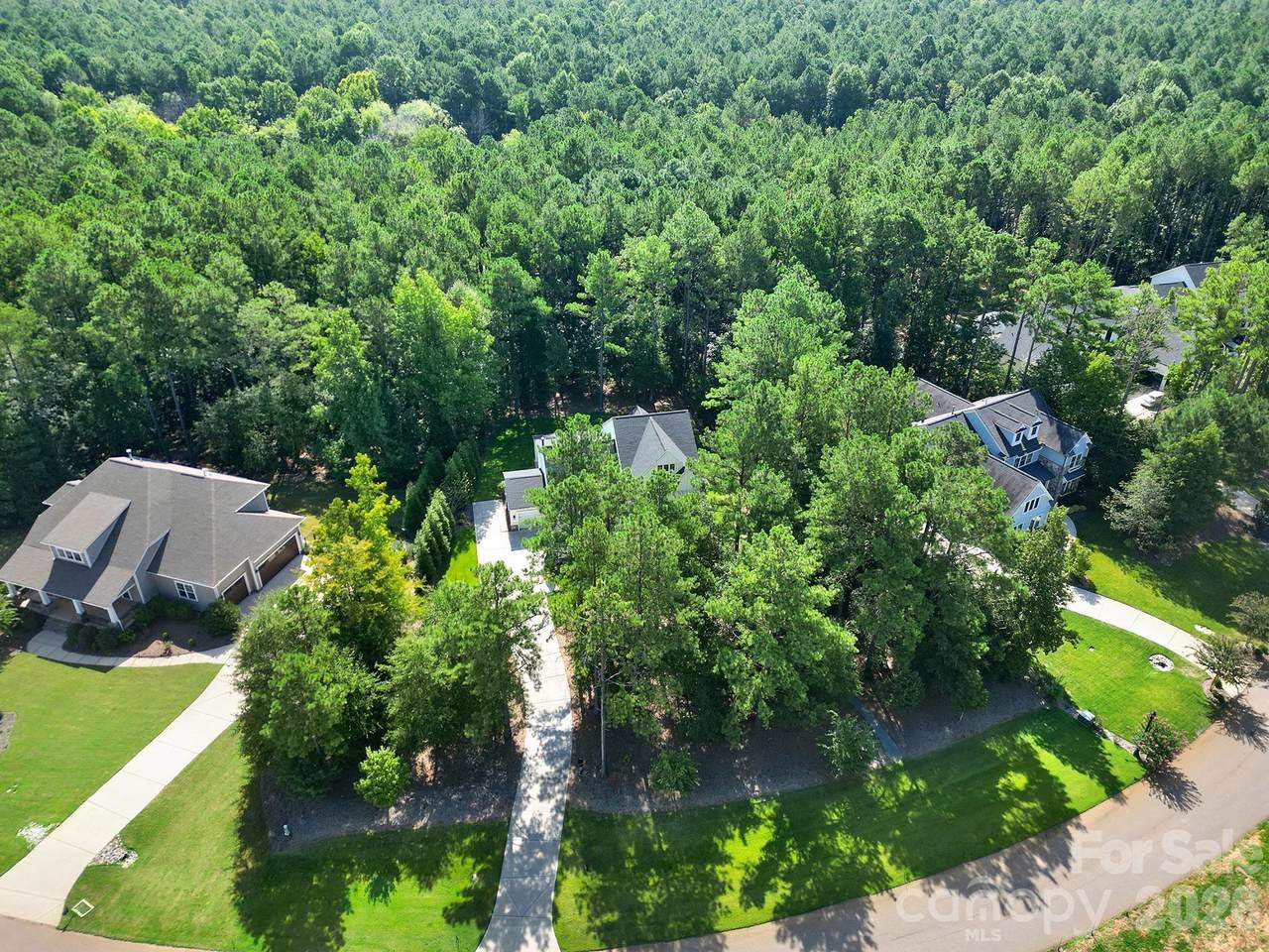 6083 Chimney Bluff Road - Photo 1