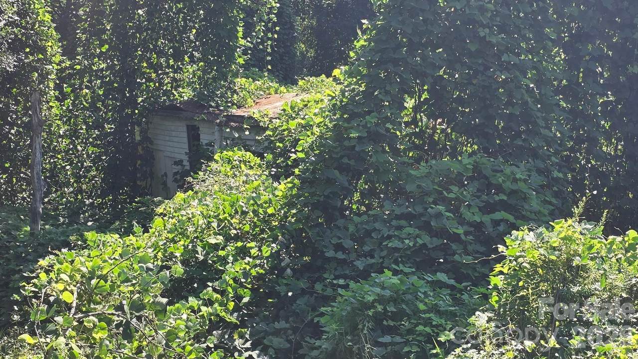 108 Campground Road - Photo 1