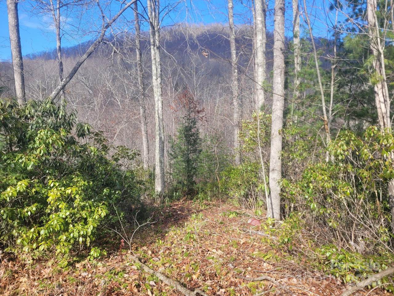 0 Garnet Road - Photo 1