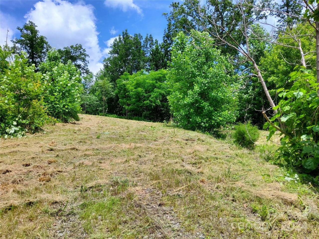 0 Bear Cliff Way - Photo 1