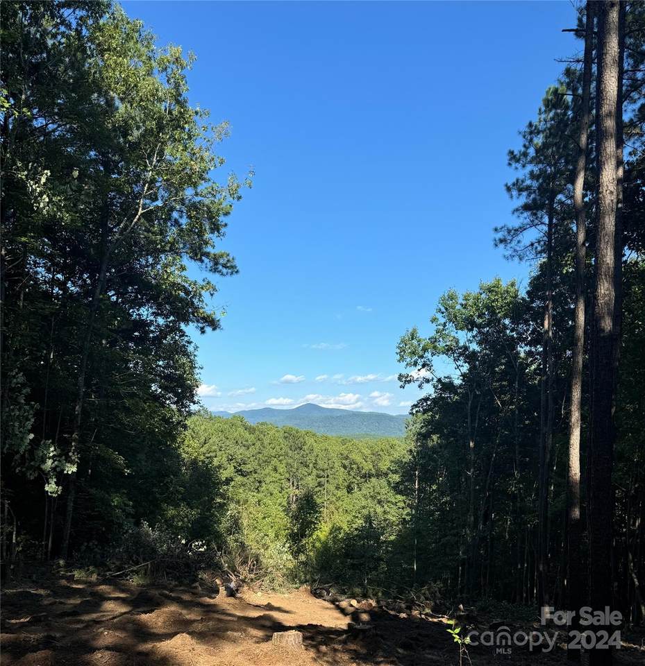 67 Dunn Trail - Photo 1