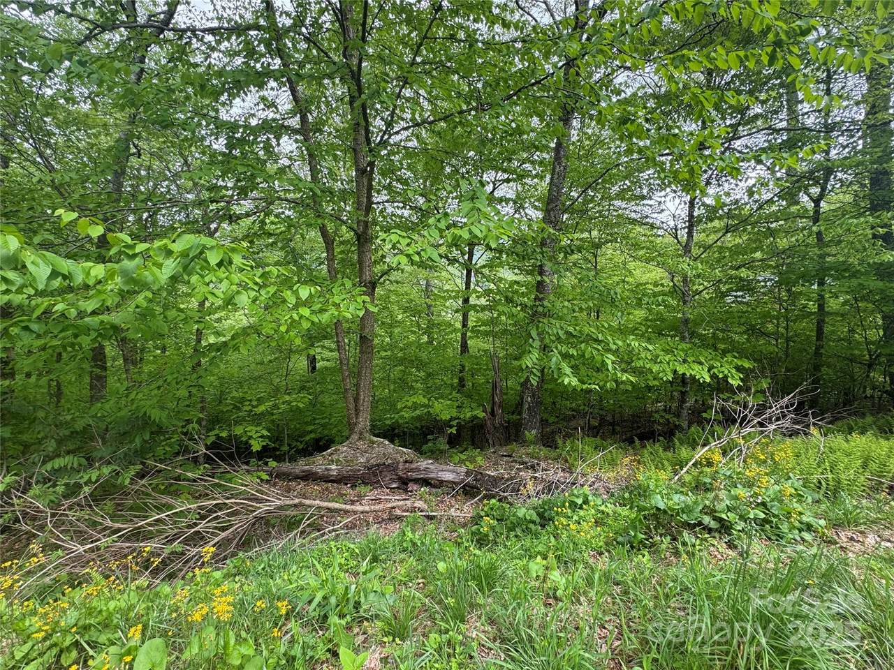 22 Zebulon Lane - Photo 1