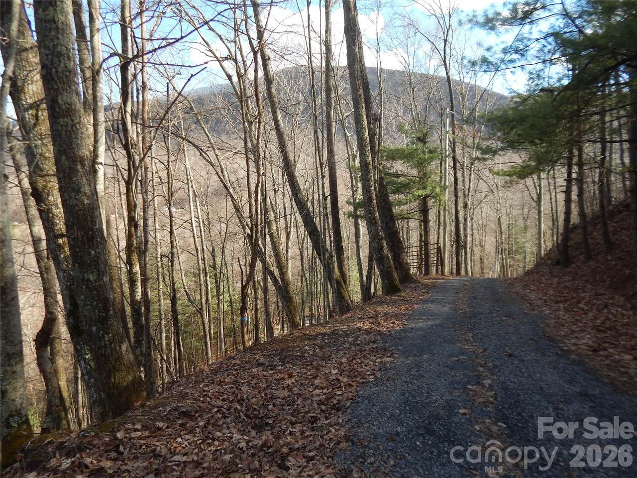 00 Hoot Owl Bill Road - Photo 1