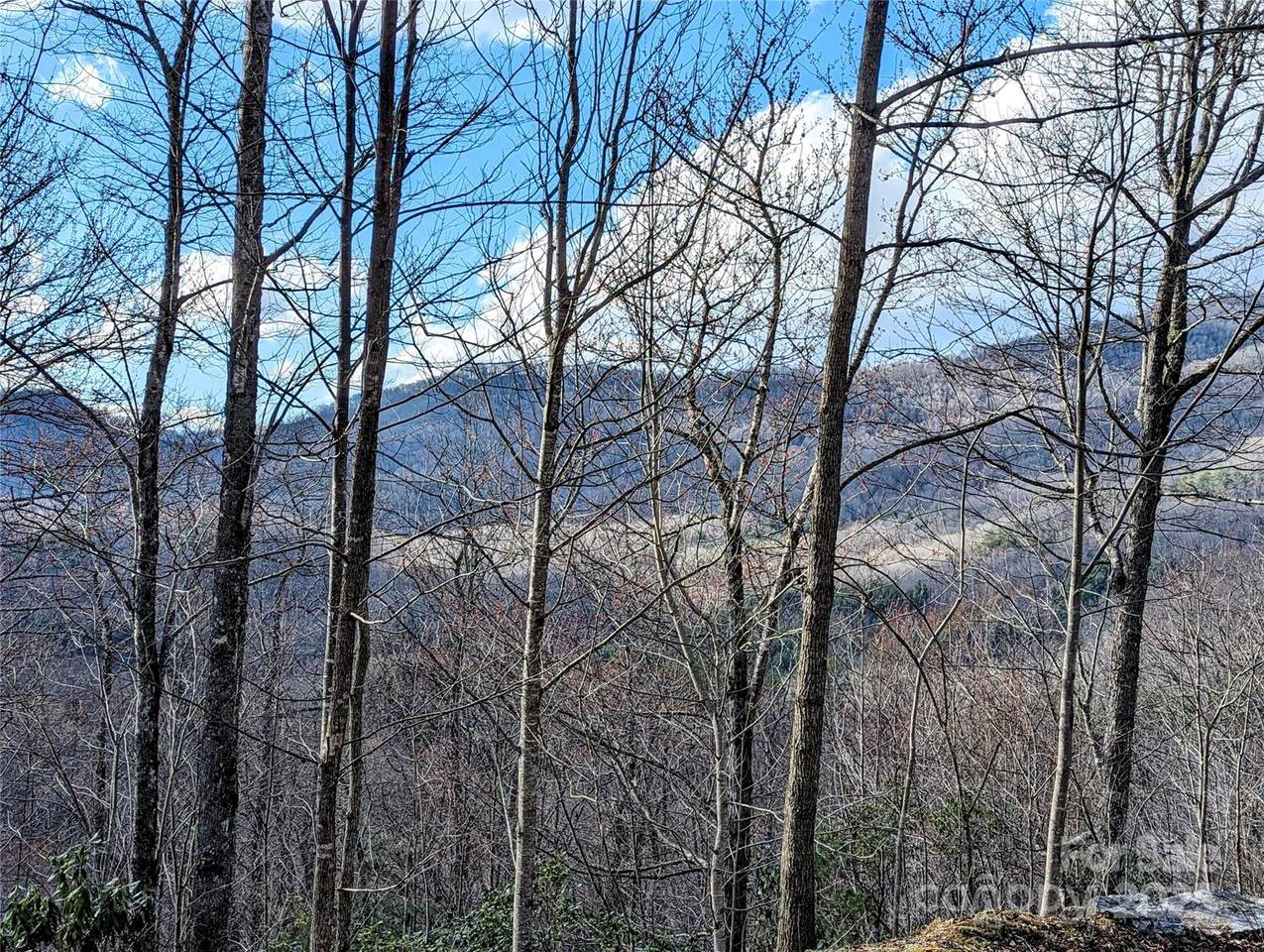 0 Dodgen Ridge Road - Photo 1