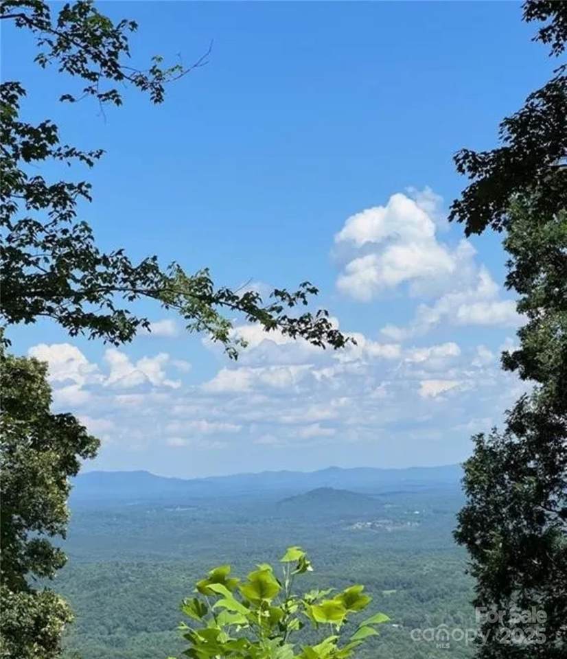 00 Hickory Nut Lane - Photo 1