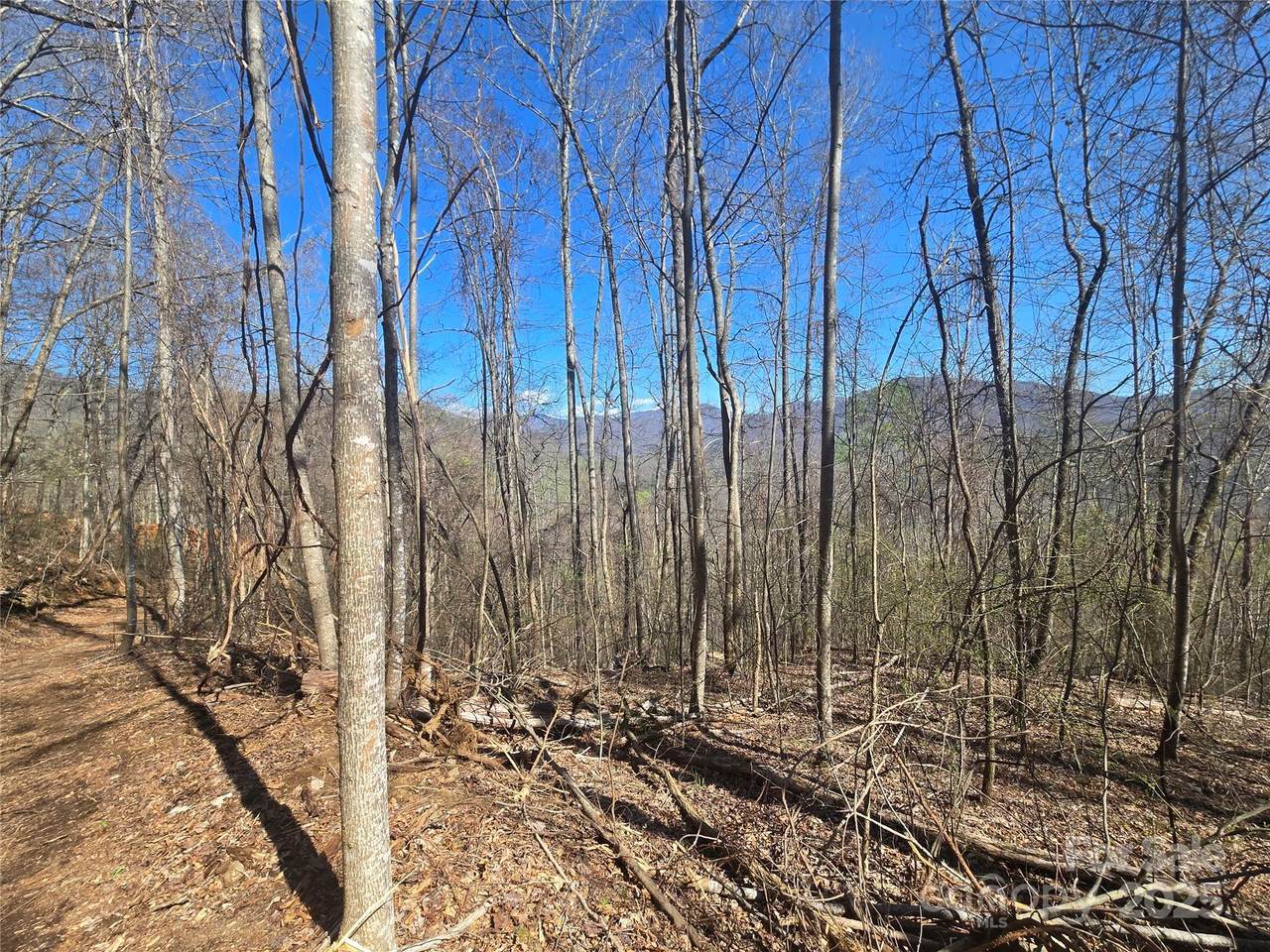 000 Brasstown Road - Photo 1