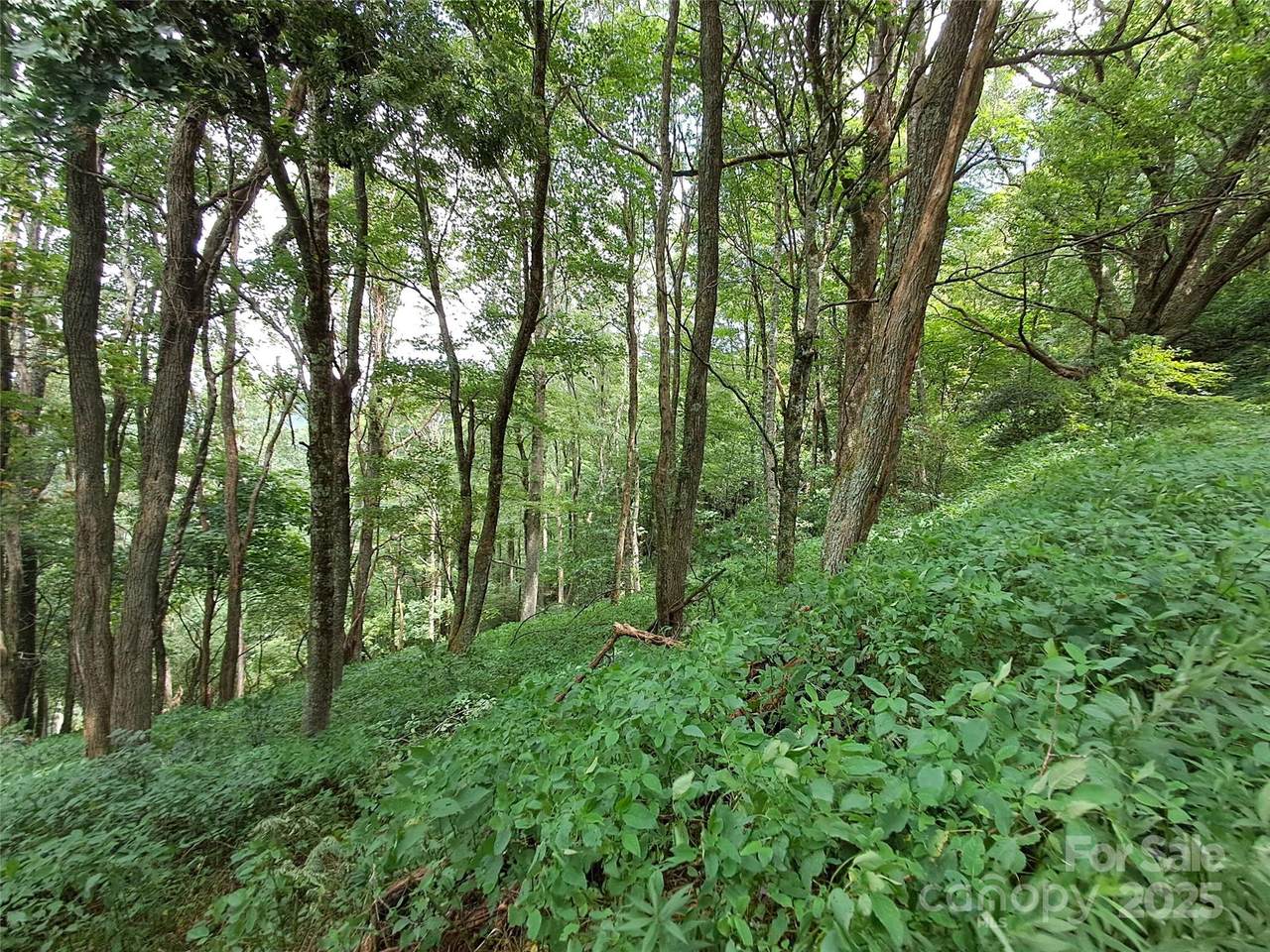 https://bt-photos.global.ssl.fastly.net/cmls/1280_boomver_3_4167477-1.jpg