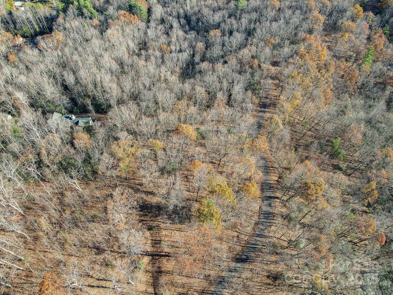 99999 Black Bear Ridge Trail - Photo 1