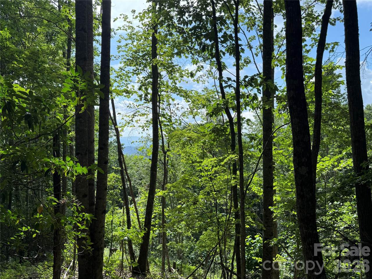 https://bt-photos.global.ssl.fastly.net/cmls/1280_boomver_3_4207839-1.jpg