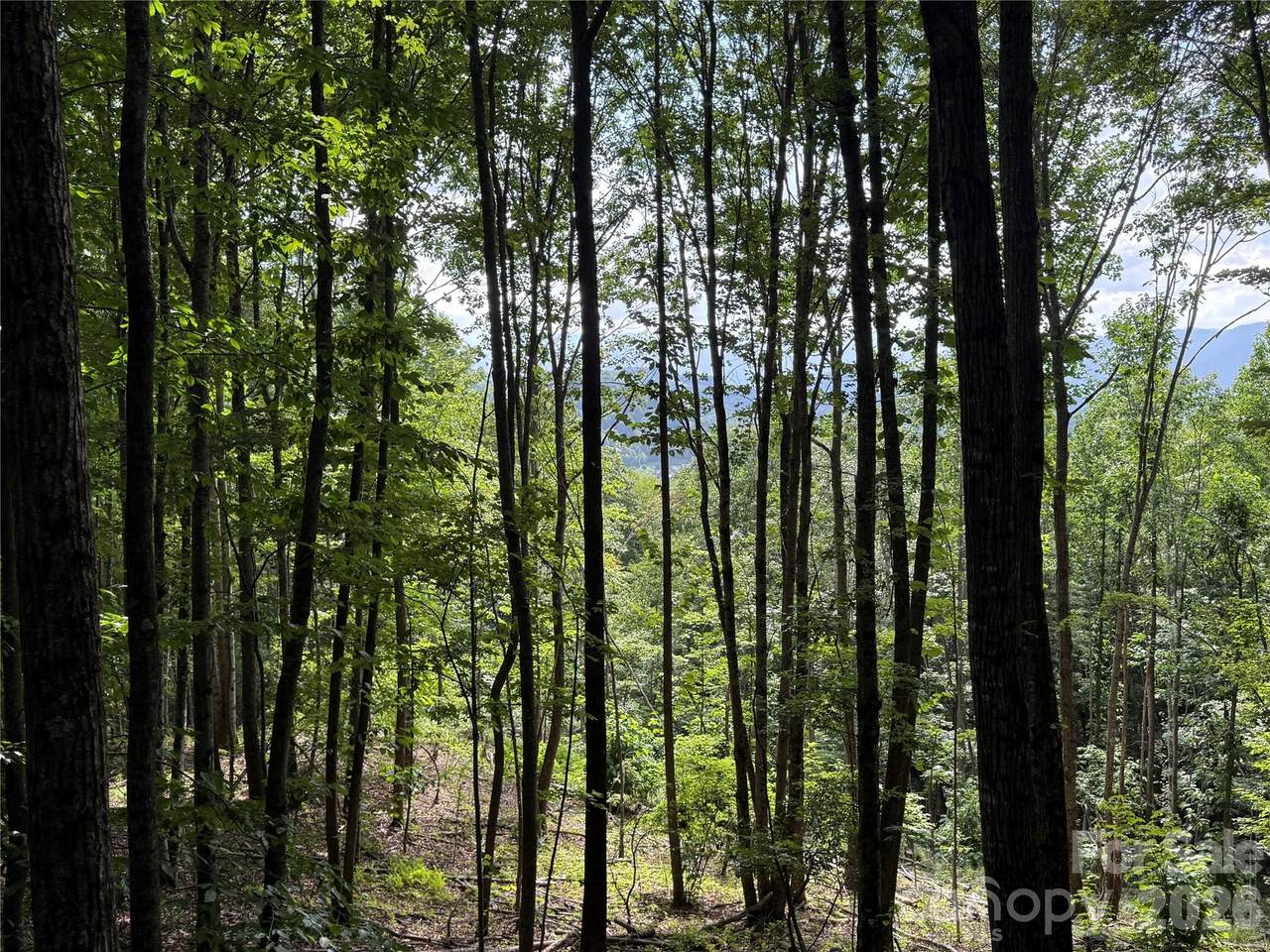 https://bt-photos.global.ssl.fastly.net/cmls/1280_boomver_3_4207839-1.jpg
