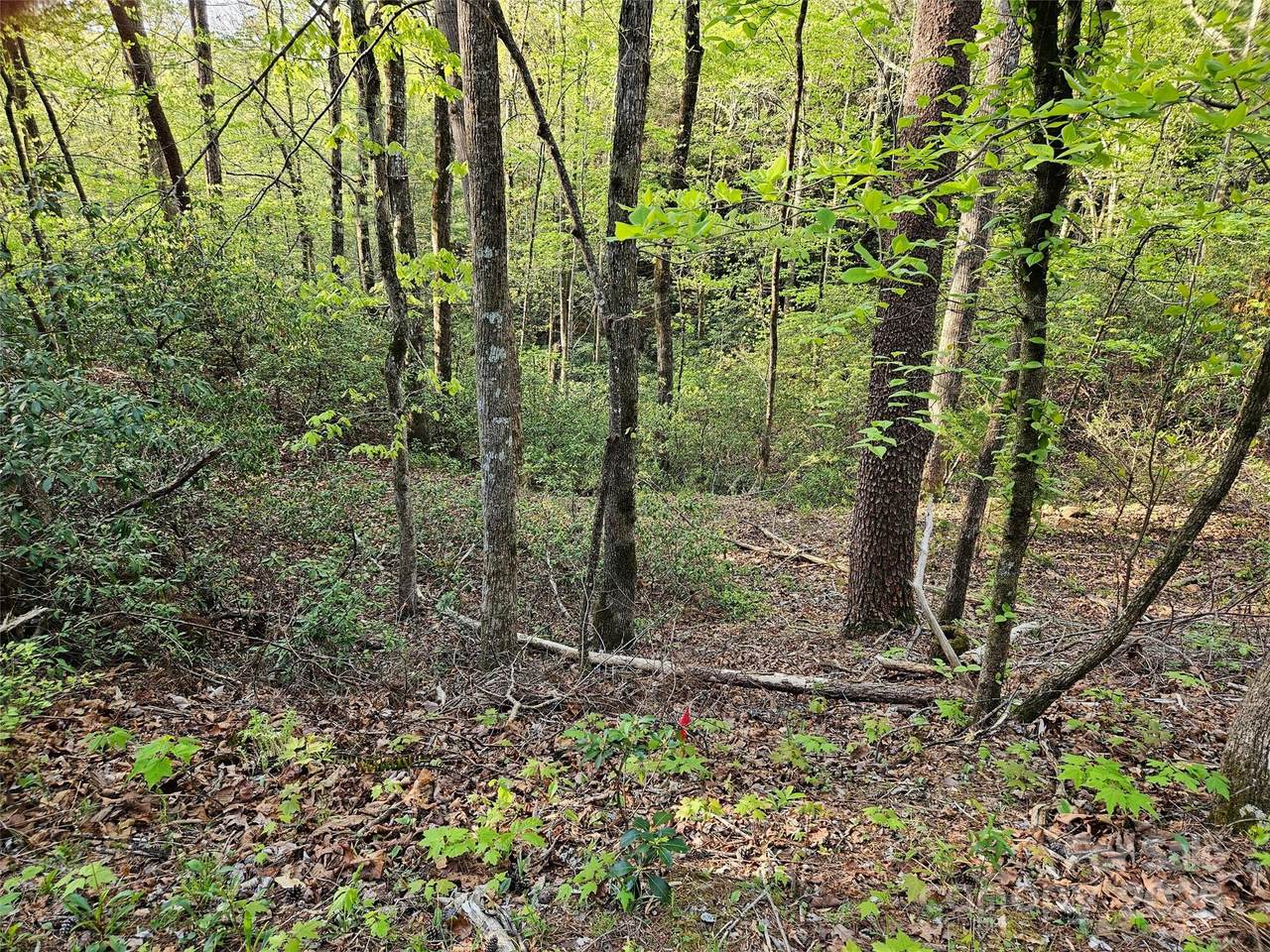 0 Huntington Road - Photo 1