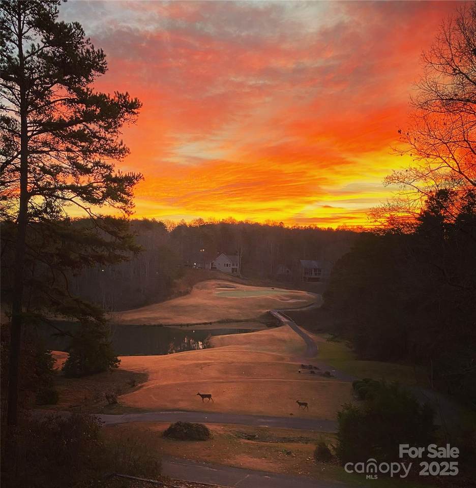 172 Summer Morning Court - Photo 1