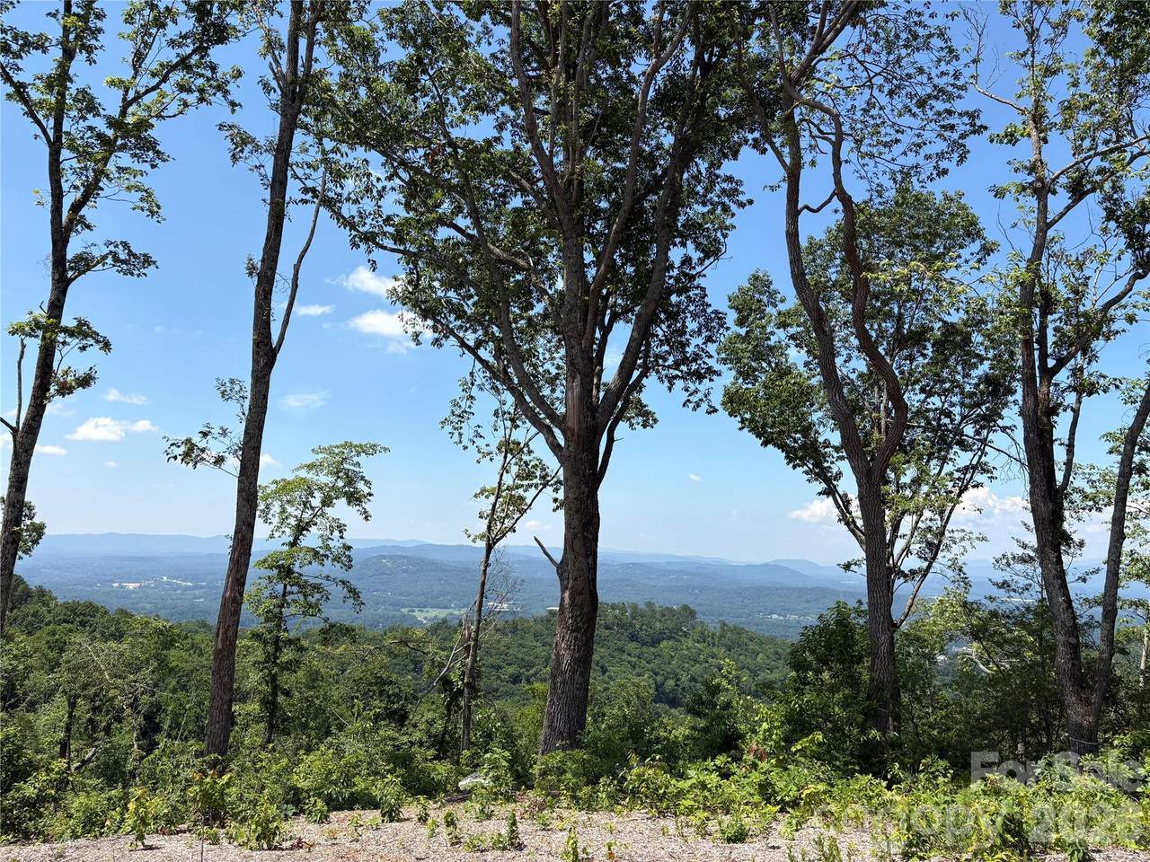 Lot 50 Mountain Grove Lane - Photo 1