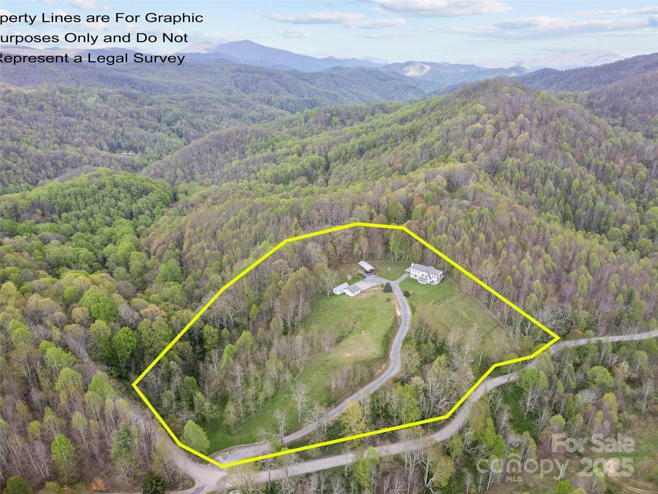 6780 Max Patch Road - Photo 1