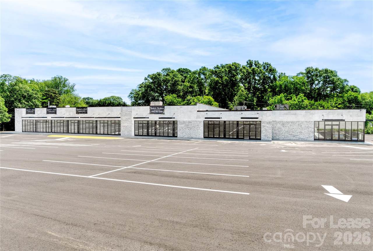 1600 York Road - Photo 1