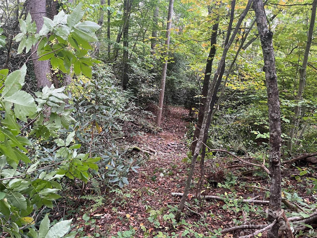 TBD Mecklenburg Circle - Photo 1