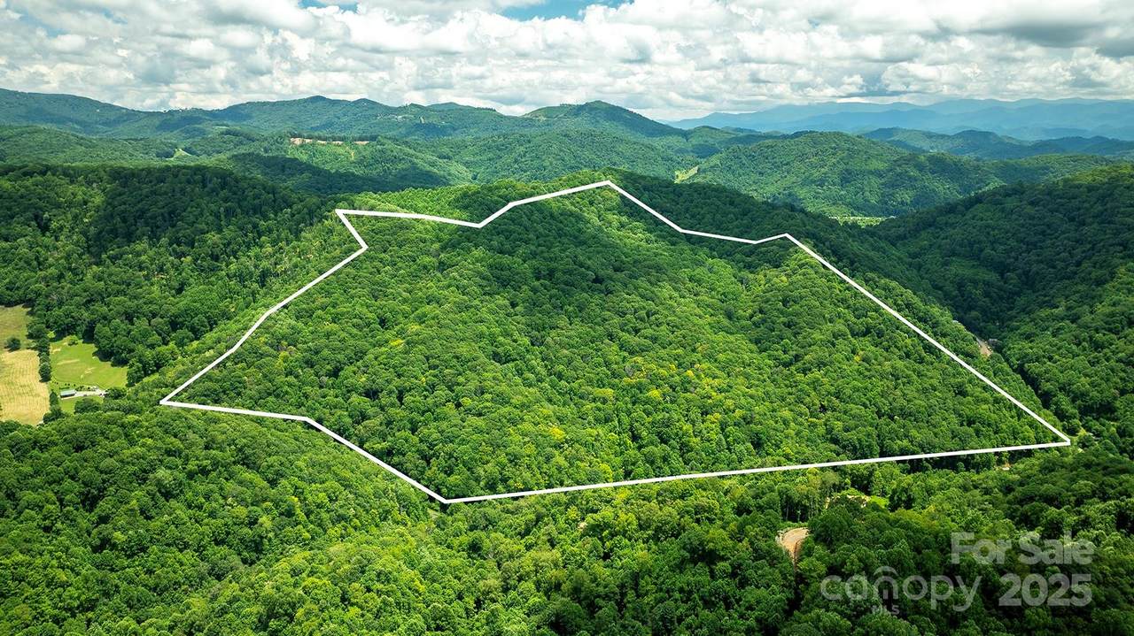 1710 Roaring Fork Road - Photo 1