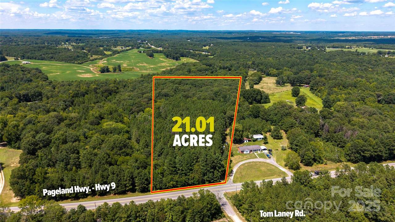 0 Pageland Highway - Photo 1