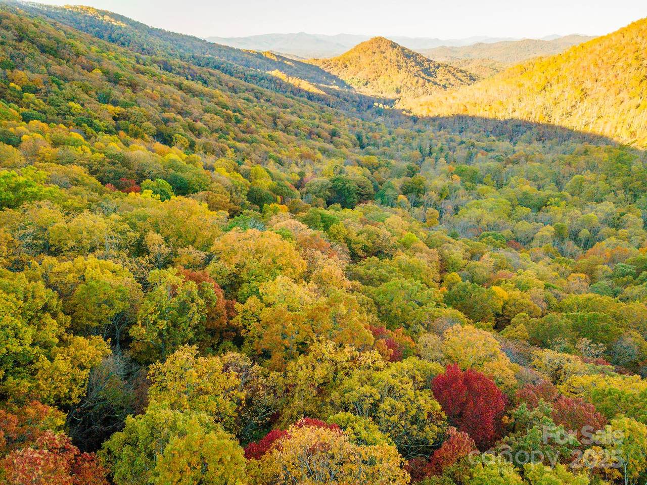 TBD Summer Haven Road - Photo 1