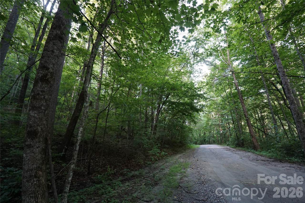 0 Poplar Drive - Photo 1