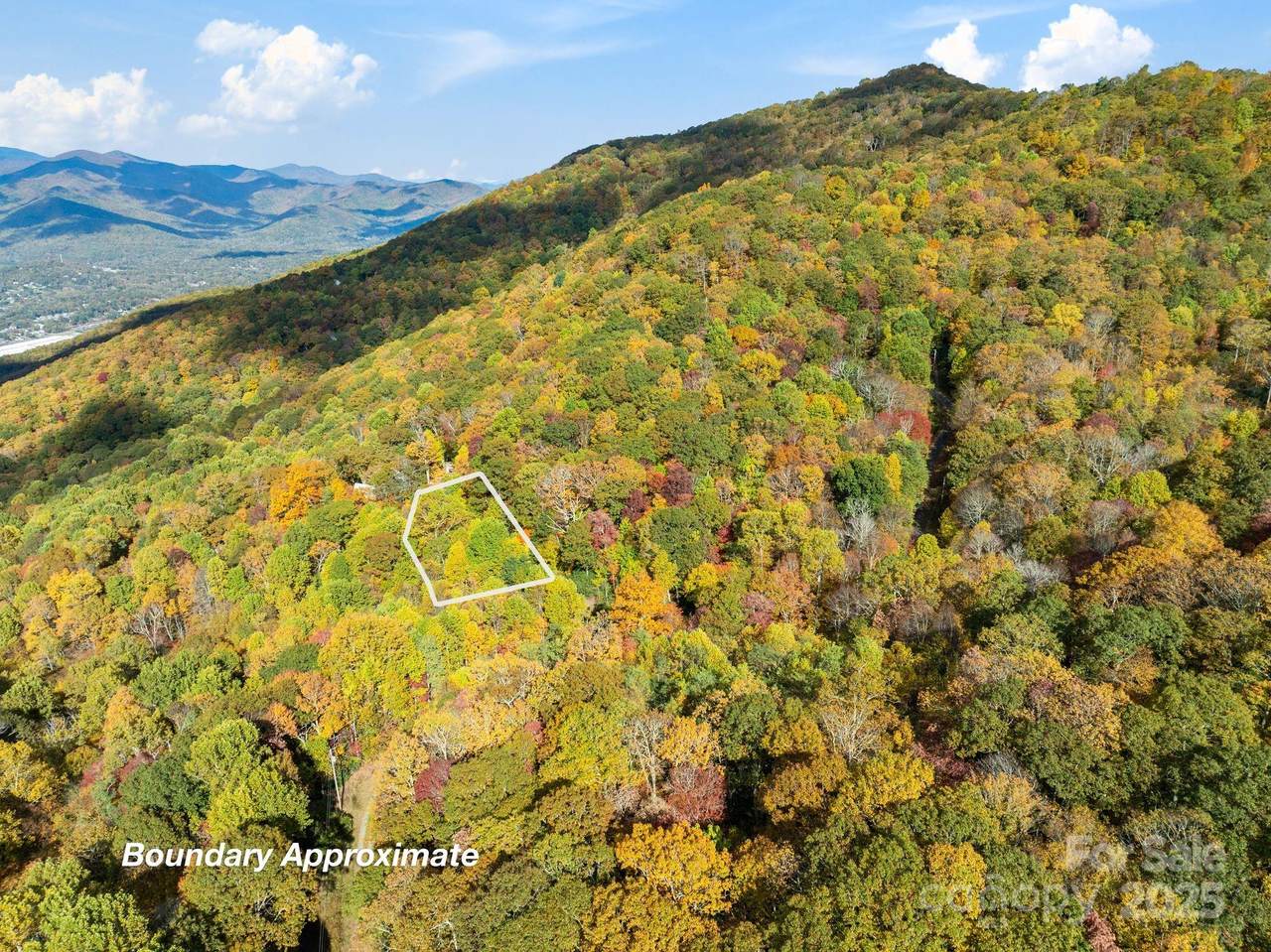 99999 Lytle Cove Road - Photo 1