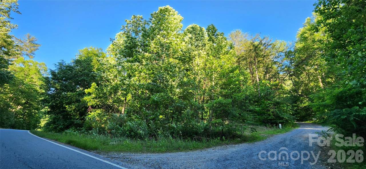 0 Buffalo Creek Road - Photo 1