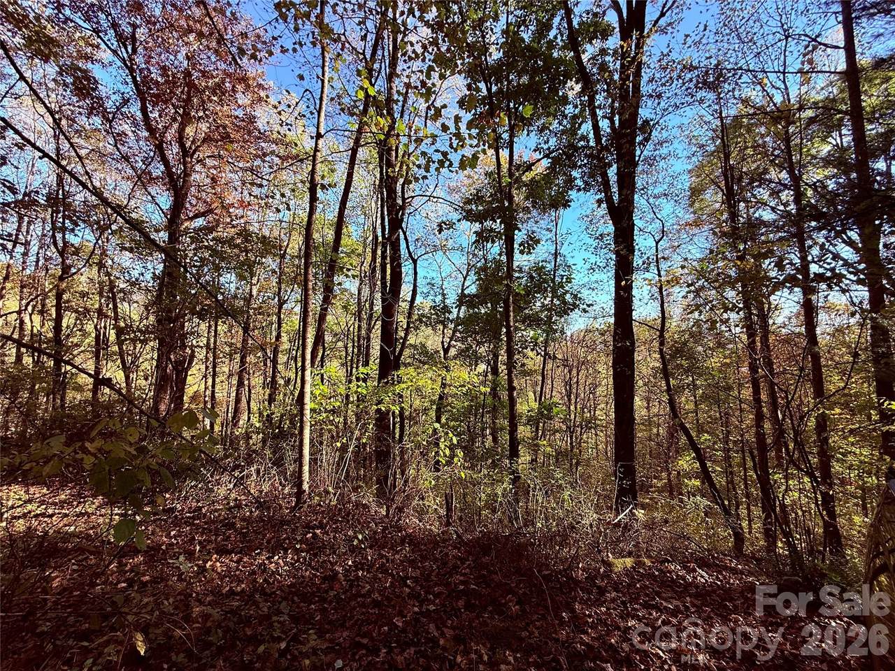 TBD Happy Ridge Lane - Photo 1