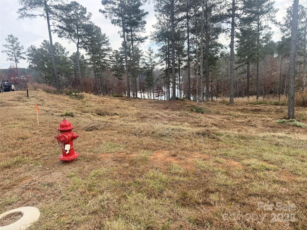 2948 Jumping Run - Photo 1