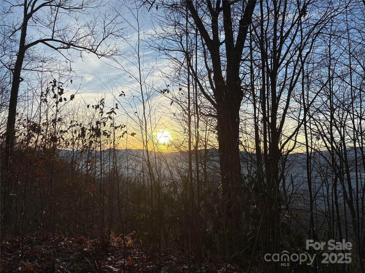 899 Hyacinth Drive - Photo 1