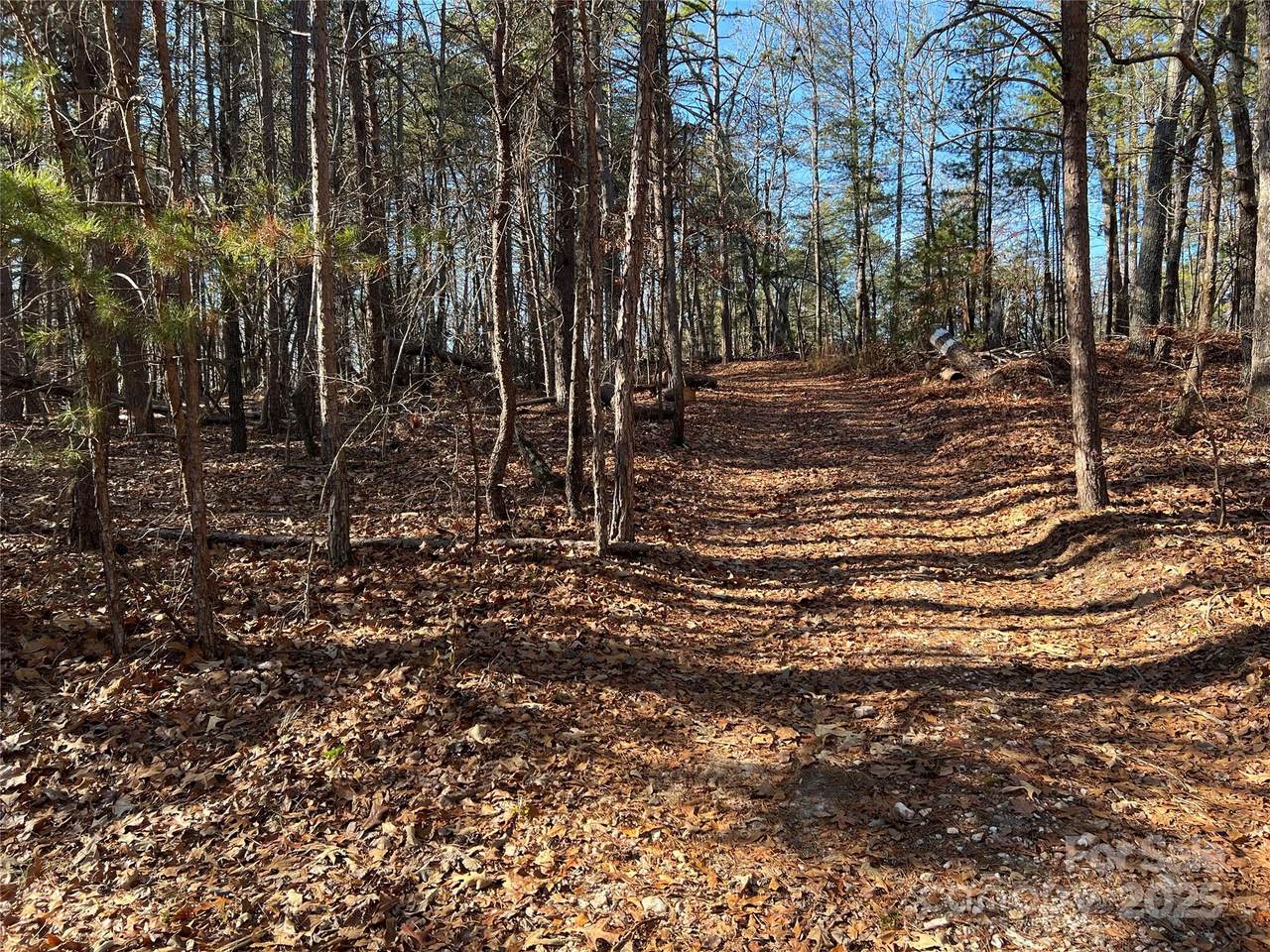 00 Old Seine Road - Photo 1