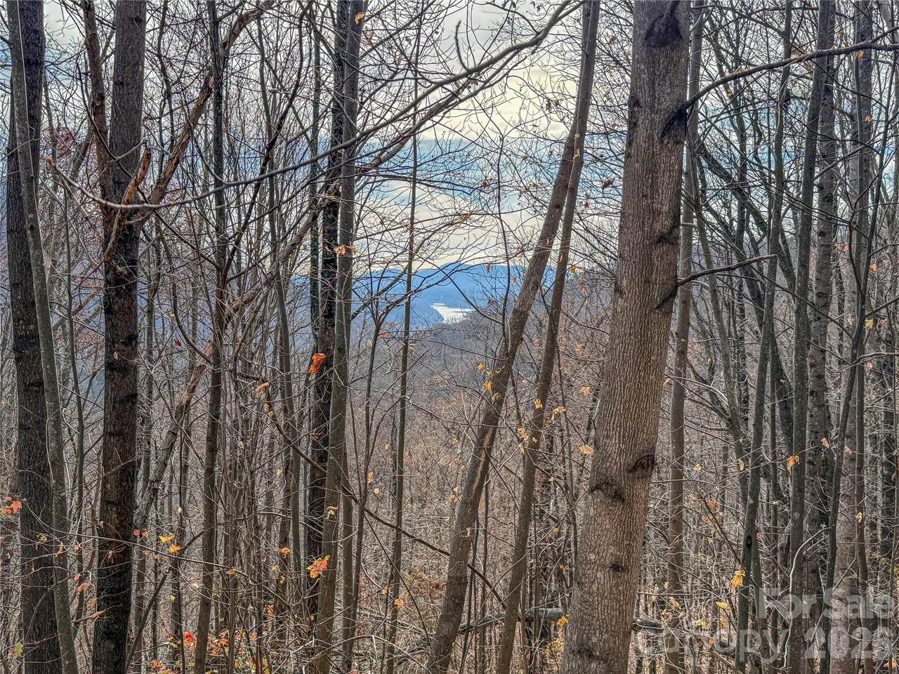 Lot 375 Rolling Ridge Trail - Photo 1