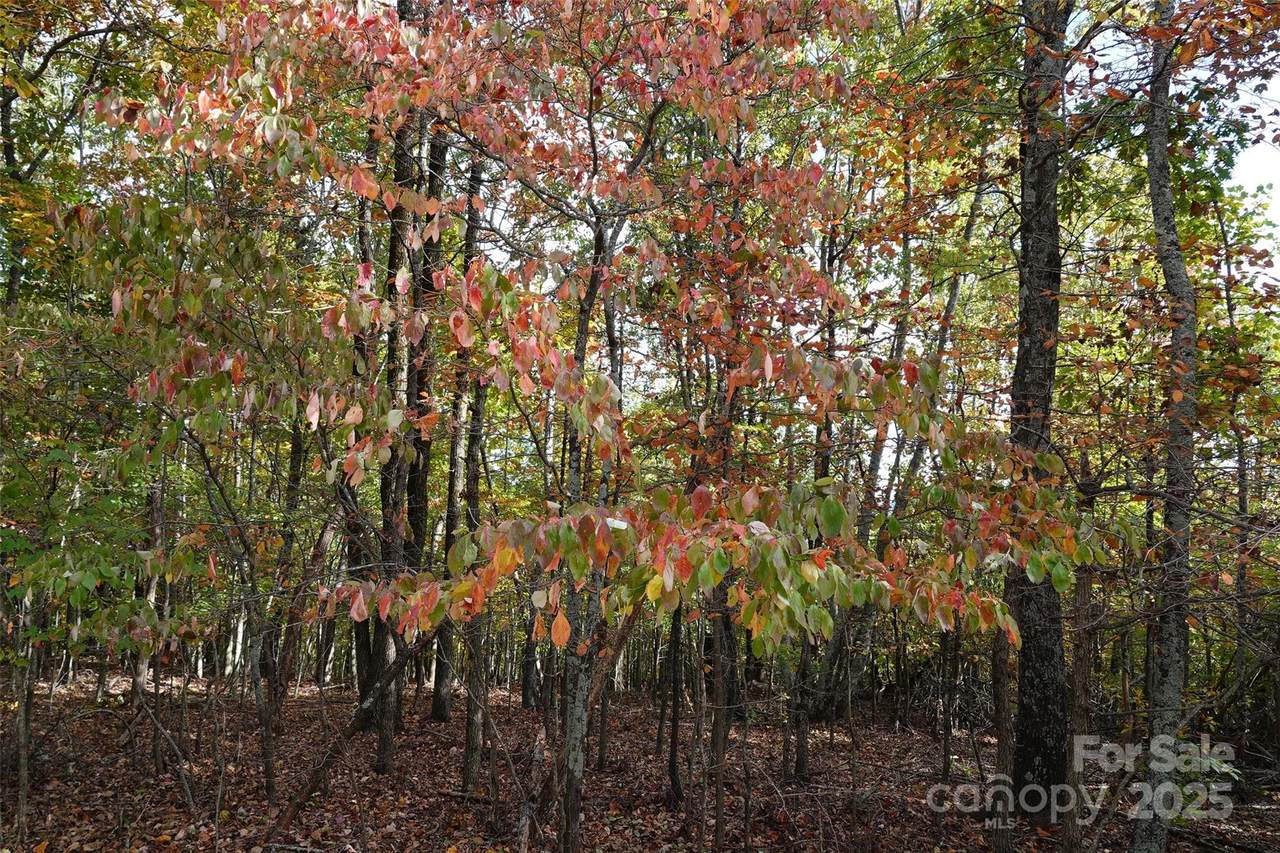 https://bt-photos.global.ssl.fastly.net/cmls/orig_boomver_3_4329484-1.jpg