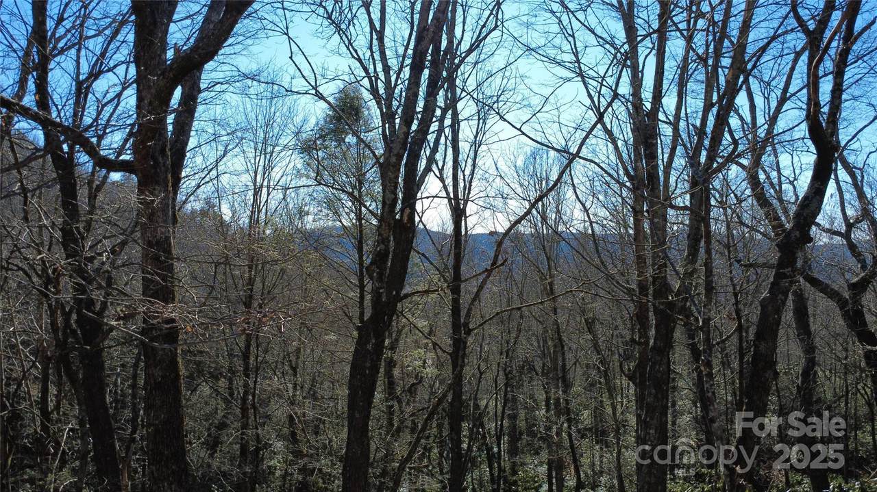 Lot 26 Big Branch Road - Photo 1