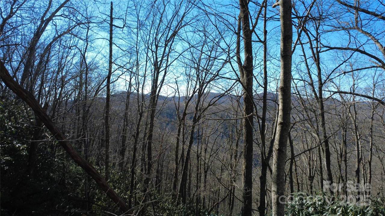 Lot 18 Joshua Road - Photo 1