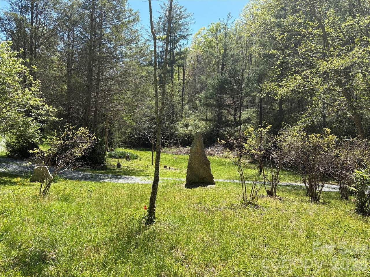 276 Cedar Creek Road - Photo 1