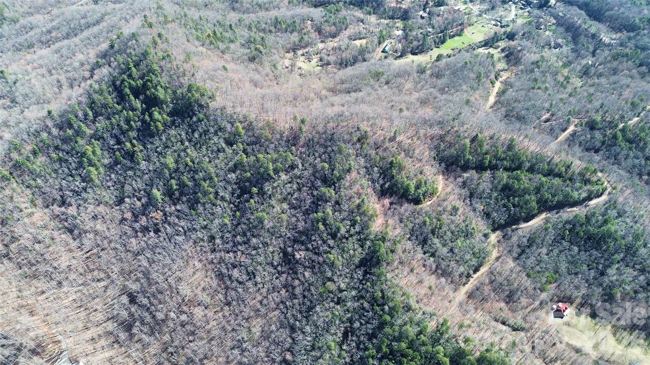 0 Betts Branch Road - Photo 1