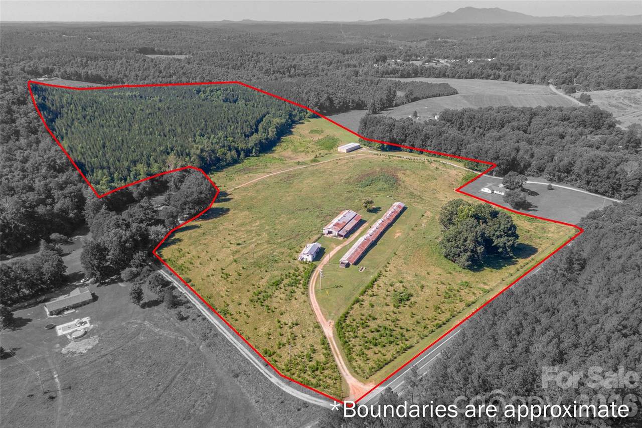 83 Acres +/- Pleasant Grove Road - Photo 1