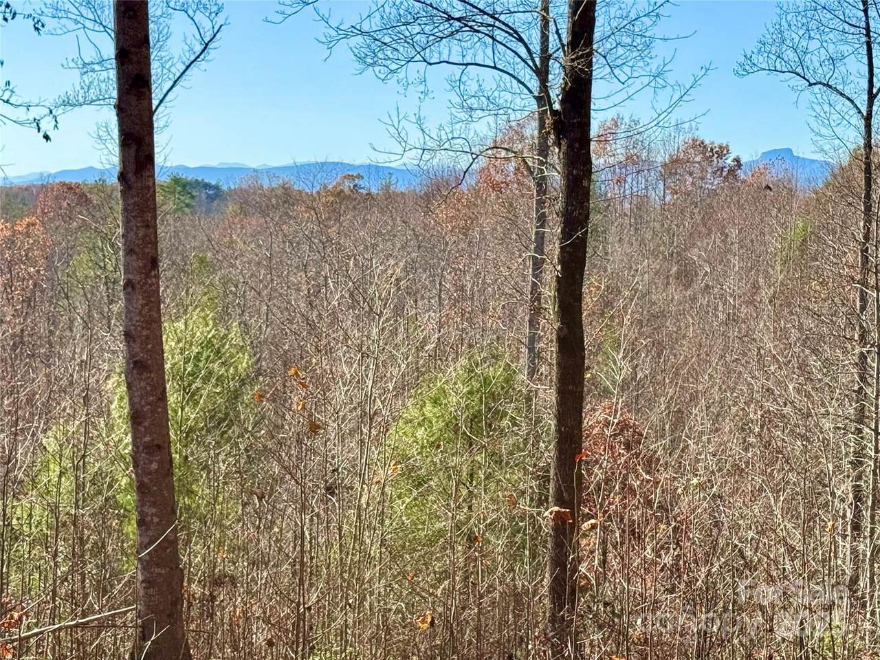 1.85 acres, Lot 925 High Valley Way - Photo 1