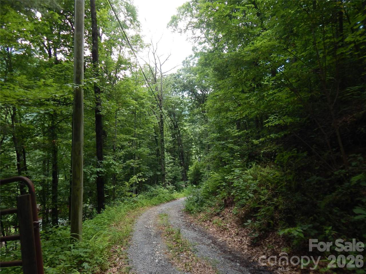 00 Hoot Owl Bill Road - Photo 1