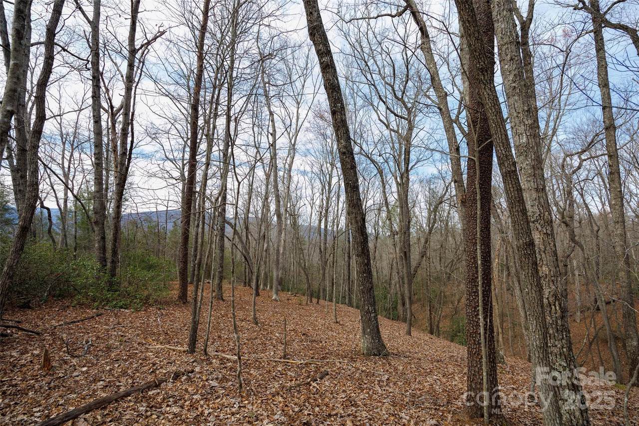 0 Lytle Mountain Road - Photo 1