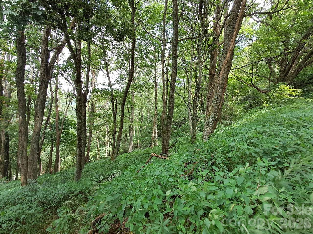 https://bt-photos.global.ssl.fastly.net/cmls/1280_boomver_4_4167477-1.jpg