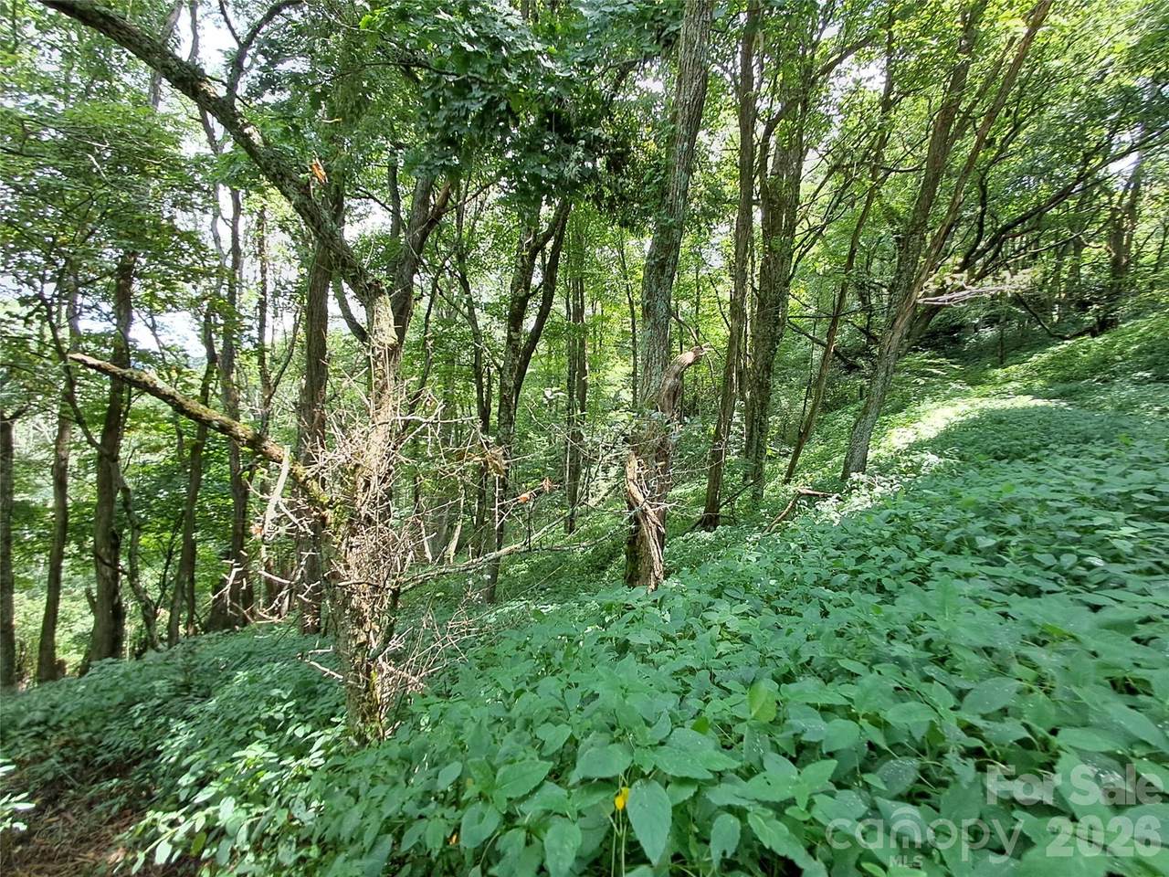 https://bt-photos.global.ssl.fastly.net/cmls/1280_boomver_4_4167477-1.jpg