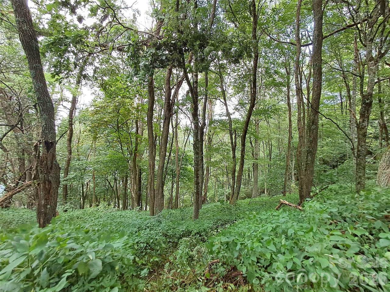 https://bt-photos.global.ssl.fastly.net/cmls/1280_boomver_4_4167477-1.jpg